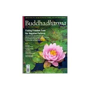    Buddhadharma Magazine Summer 2011 (Preowned) 