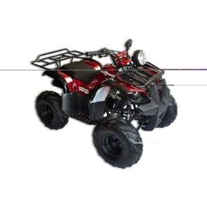  Trailrover 125CC ATV Red with Automatic Transmission: Home 