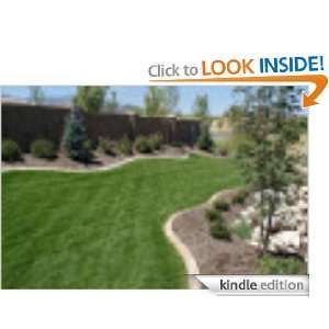 Landscaping for People Without Green Thumbs Steve Perry  