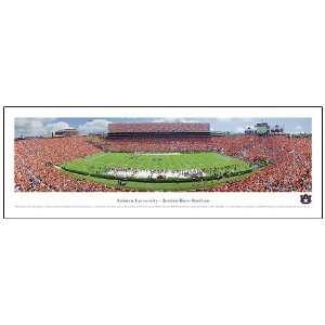  NCAA Auburn Tigers Jordan Hare Stadium Panoramic Print 