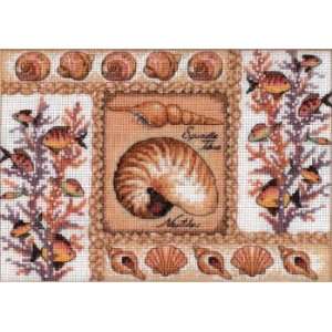  Nautilus Shells kit (cross stitch) Arts, Crafts & Sewing