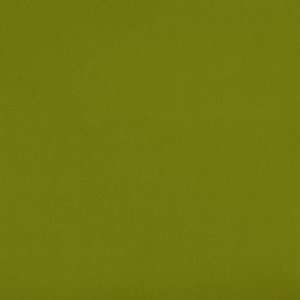  Duralee 36120   212 Apple Green Fabric: Arts, Crafts 