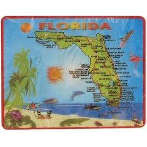  Florida Mouse Pad  Map 3d Souvenir: Everything Else