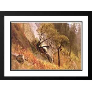   Double Matted Landscape Study Yosemite, California