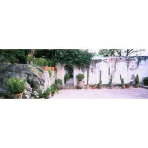  Potted Plants in Courtyard of a House, San Miguel de Allende 