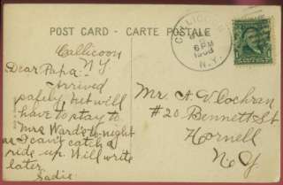060911 LOVELY HOMES DIRT ROAD CALLICOON NY POSTCARD 1908  
