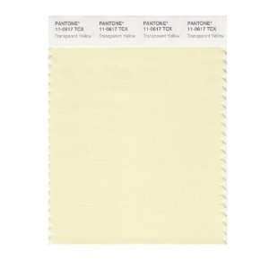   SMART 11 0617X Color Swatch Card, Transparent Yellow: Home Improvement