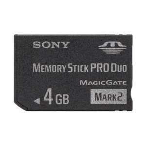  4GB Memory Stick PRO Duo Flash Memory Card: Computers 