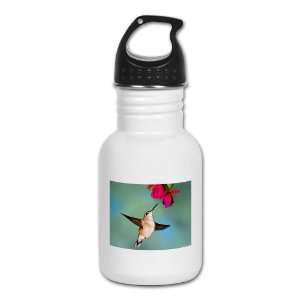    Kids Water Bottle Black Chinned Hummingbird: Everything Else
