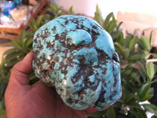 21lb VAIN GREEN polished Turquoise Rough NuggeT  