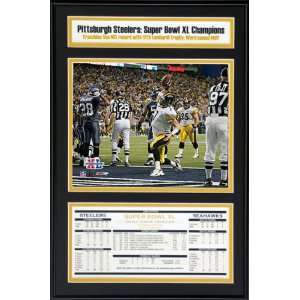 Ben Roethlisberger Pittsburgh Steelers   Touchdown Celebration   Super 