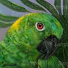 YELLOW NAPED  PARROT GICLEE of Painting Kasheta Palm Green BIRD 