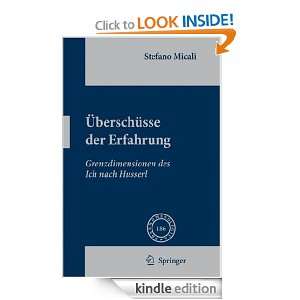   Erfahrung Grenzdimensionen des Ich nach Husserl (Phaenomenologica