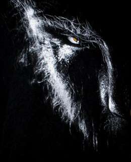 The Wolfman Werewolf Benicio Del Toro Mens T shirt XL Black  