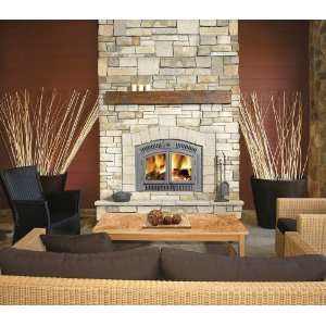  Napoleon NZ3000WI Wood Burning Fireplace in Painted Black 