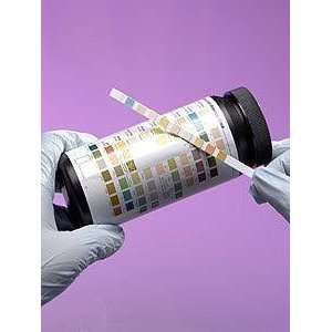  Medical Supplies DiaScreen 10 Urinalysis Strips (100 pcs 