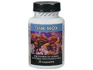 Fish Mox (Amoxicillin)   250mg   Bottle of 30  