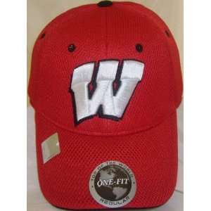 Wisconsin Badgers Elite Team Color One Fit Hat  Sports 
