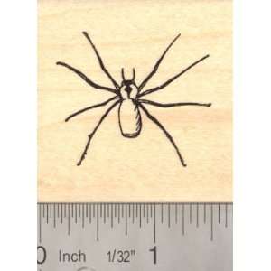  Brown Recluse Spider Rubber Stamp Arts, Crafts & Sewing