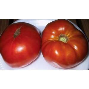  Bulgarian Triumph tomato seed Patio, Lawn & Garden