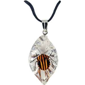  Real Insect in Acrylic Glass Pendant / Necklace 
