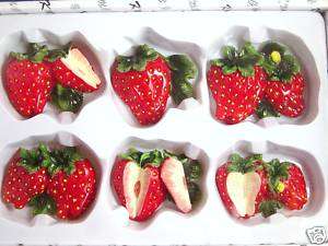 Strawberry 3 Dimensional 6 piece Magnets Set  