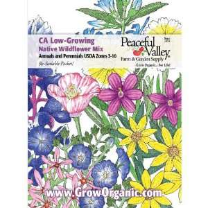  California Low Growing Native Wildflower Mix Seed Pack 