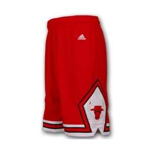  Chicago Bulls Adidas Replica NBA Basketball Shorts 