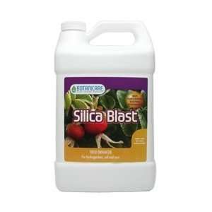   Blast 1 Gallon Hydroponics Nutrients & Additives Patio, Lawn & Garden