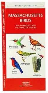   New England Birds by James Kavanagh, Waterford Press 
