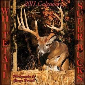  Whitetail Super Bucks 2012 Wall Calendar