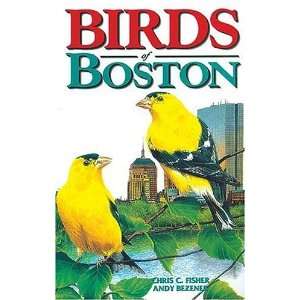    Birds of Boston (City Bird Guides) [Paperback] Chris Fisher Books