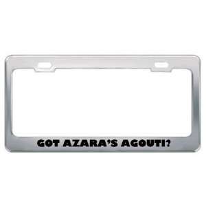  Got AzaraS Agouti? Animals Pets Metal License Plate Frame 