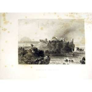  Ailsa Craig Turnbury Castle Sea Sheep 1838 Scotland
