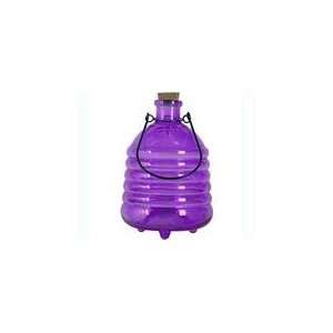 Premier Designs Purple Glass Wasp Trap:  Home & Kitchen