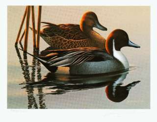1983 FEDERAL WATERFOWL PRINT & ARTIST SIGNED STAMP RW50  