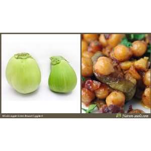  Nature Seeds Apple Green Round Eggplant / Brinjal 40 