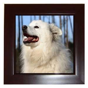  American Eskimo Dog Framed Tile G0011 