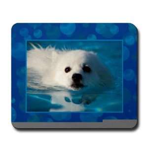  American Eskimo Dog Pets Mousepad by CafePress: Sports 