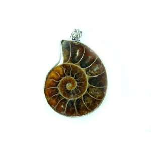  PE0134 Madagascar Ammonite Fossil Crystal Pendant Jewelry