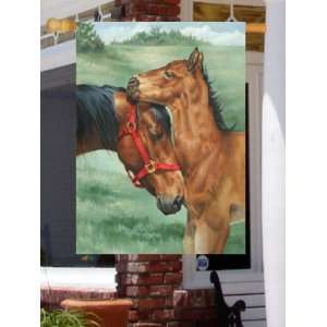  Colts Nuzzle Horse Large House Flag: Patio, Lawn & Garden