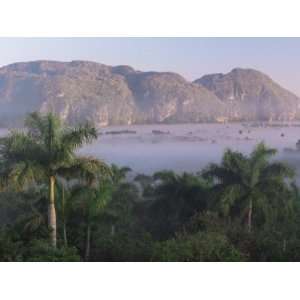  Vinales, Cuba, West Indies, Central America Stretched 