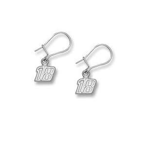  Kyle Busch Very Small Driver Number 18 Dangle Earrings 