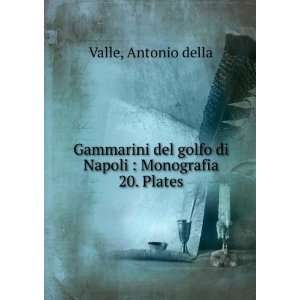   golfo di Napoli : Monografia. 20. Plates: Antonio della Valle: Books