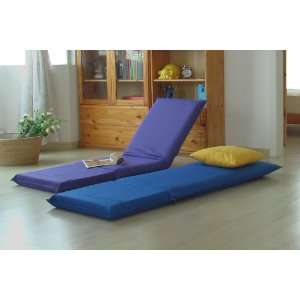    Blue Folding Portable BackJack Floor Chair: Office Products