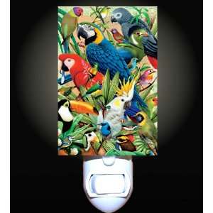    Tropical Bird World Decorative Night Light: Home Improvement