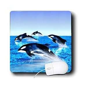  Boehm Digital Paint Animal   Killer Whale Pod   Mouse Pads 