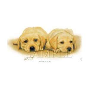  T shirts Animals Dogs Head Labrador Puppies Xl 