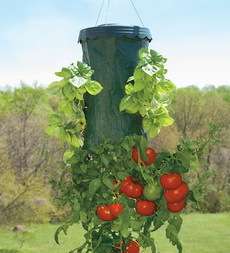 Topsy Turvy Upside Down Tomato Planter,62753  
