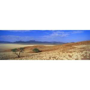  View of Trees and Mountains in Desert Landscape, Namib Rand Game 